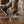 Starboard 6 in Deck Boot Studio Black